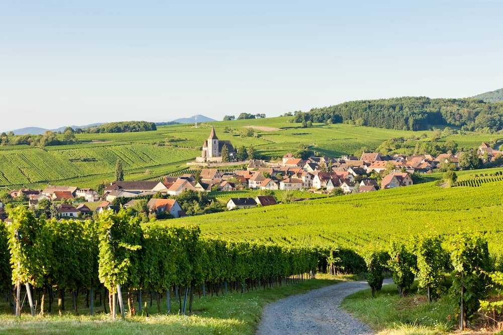 Route des vins d'alsace à moto